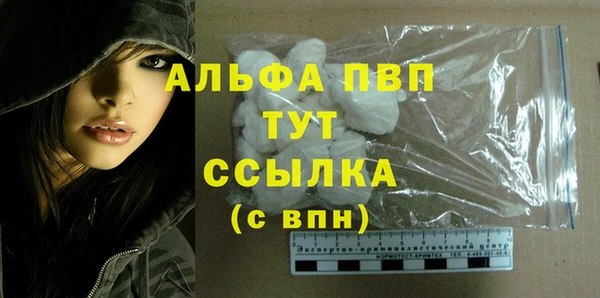 гашик Киров
