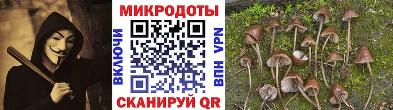 Галлюциногенные грибы Cubensis  OMG зеркало  Нижневартовск  сколько стоит 