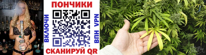 Бошки марихуана план  это телеграм  Нижневартовск 
